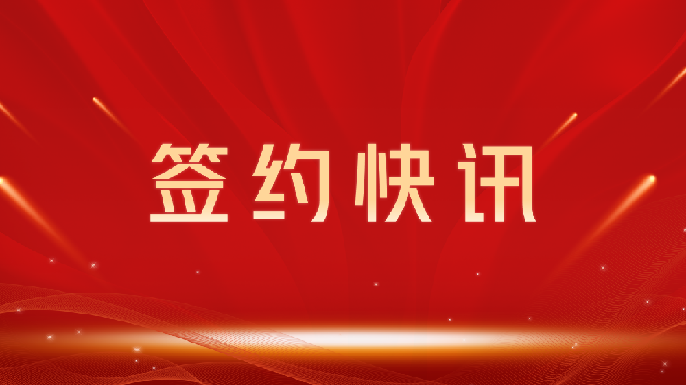 【签约喜讯】助力教育数字化转型,我司与安徽龙图教育集团达成官网建设合作